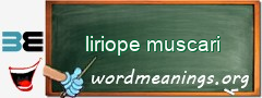 WordMeaning blackboard for liriope muscari